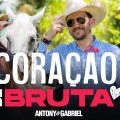 Antony e Gabriel - CORAÇÃO DE BRUTA