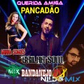 BRILHA SOM QUERIDA AMIGA REMIX PANCADÃO DJ NILDO MIX
