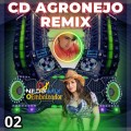 CD AGRONEJO REMIX DJ NILDO MIX O EMBAIXADOR 02