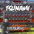 CD Paredao Tsunamy – Chapecó SC - DJFrequency Mix