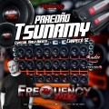 CD Paredao Tsunamy Mala Aberta - DJ Frequency Mix
