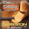 CD SERTANEJO UNIVERSITARIO 22 BY DJ GEISSON COSTA