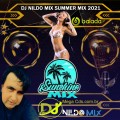 DJ NILDO MIX SUMMER MIX 2021