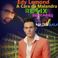 Edy Lemond A Cara da Malandra Pancadão Remix Dj Nildo Mix Dj Alisson Mix
