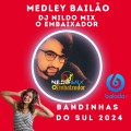 Medley Bailão DJ NILDO MIX O EMBAIXADOR  BANDINHAS DO SUL 2024 #01