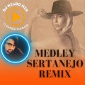 MEDLEY SERTANEJO REMIX 2023 DJ NILDO MIX O EMBAIXADOR
