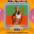 Mega Nejo -The Best DJs Project Sertanejo Remix