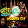 MEGANEJO 2022 DJ NILDO MIX