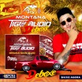 Montana Tiger Audio - ARAXÁ MG  - SERTANEJO - Gleison Lopez