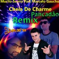 Murilo Senna Part Marcelo Gaucho Cheia De Charme REMIX PANCADÃO Dj Nildo Mix