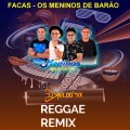 OS MENINOS DO BARÃO DJ NILDO MIX REGGAE REMIX FACAS 2021