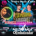 Pedro Paulo & Alex Funkzinho Saudável REMIX DJ NILDO MIX