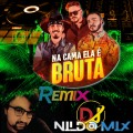 Pedro Paulo e Alex DJ E Kevin E Dj Nildo Mix NA CAMA ELA É BRUTA Remix 2022