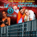 Pedro Sampaio Ft. MC Pedrinho Dançarina Remix Pancadão Dj Nildo Mix