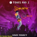 TONES AND DANCE MONKEY OR DENDO REMIX  DJ NILDO MIX