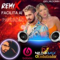 Zé Felipe - Facilita Aí Remix Pancadão Dj Nildo Mix