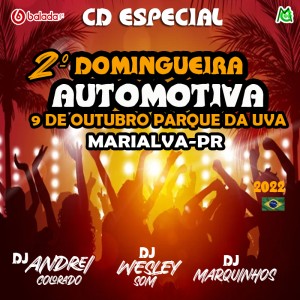 CD 2° DOMINGUEIRA AUTOMOTIVA MARIALVA -PR
