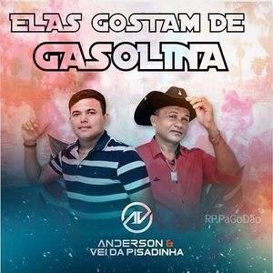 Anderson & O Vei Da Pisadinha - Elas Gostam de Gasolina Versão Gravão - DJ Romario Roba Cena