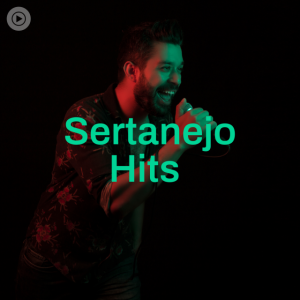 Baixar CD Hits do Sertanejo 2023