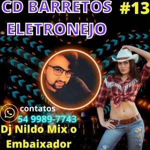 CD BARRETOS ELETRONEJO DJ NILDO MIX #13