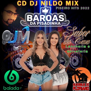 CD DJ NILDO MIX E BAROAS DA PISADINHA PISEIRO HITS 2022