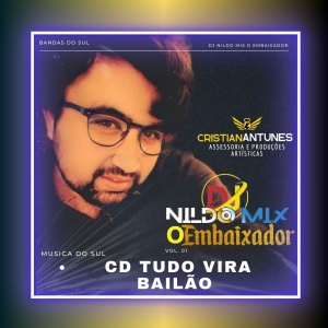 CD TUDO VIRA BAILÃO DJ NILDO MIX BANDAS DO SUL
