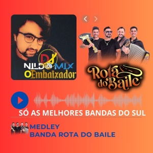 Medley Banda Rota do Baile SÓ AS MELHORES BANDAS DO SUL (Bailão do Embaixador DJ Nildo Mix)
