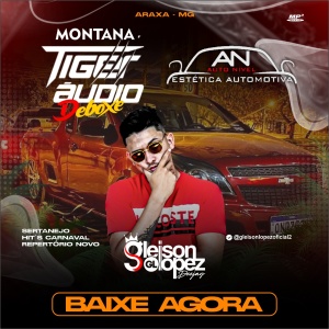 Montana Tiger Áudio + Auto Nivel Estética Automotiva