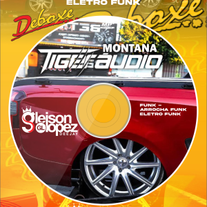 Montana Tiger Audio - ( DEBOXE ) FUNK - Araxá MG - Gleison  Lopez