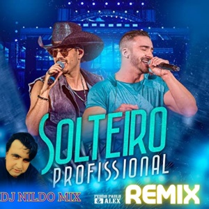 Pedro Paulo & Alex - Solteiro Profissional Remix Dj Nildo Mix