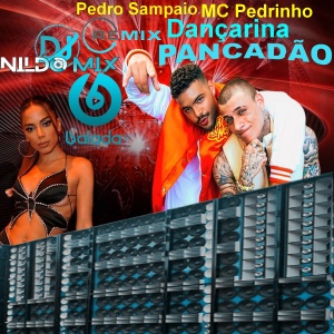 Pedro Sampaio Ft. MC Pedrinho Dançarina Remix Pancadão Dj Nildo Mix