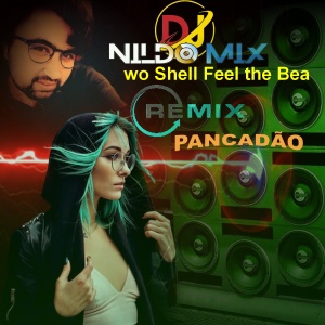 wo Shell Feel the Beat Remix Pancadão Dj Nildo Mix
